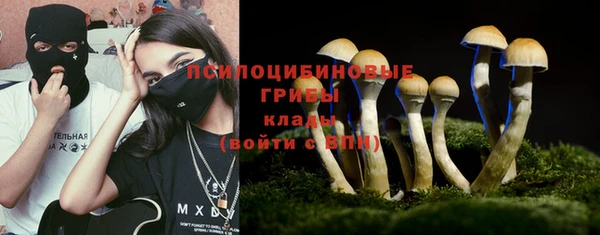 гидропоника Коряжма